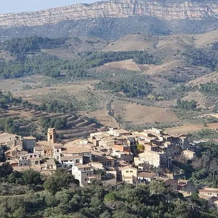 Cal Viola *