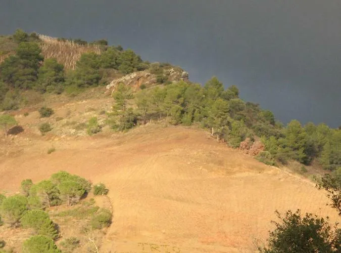 Cal Viola Apartamento Torroja