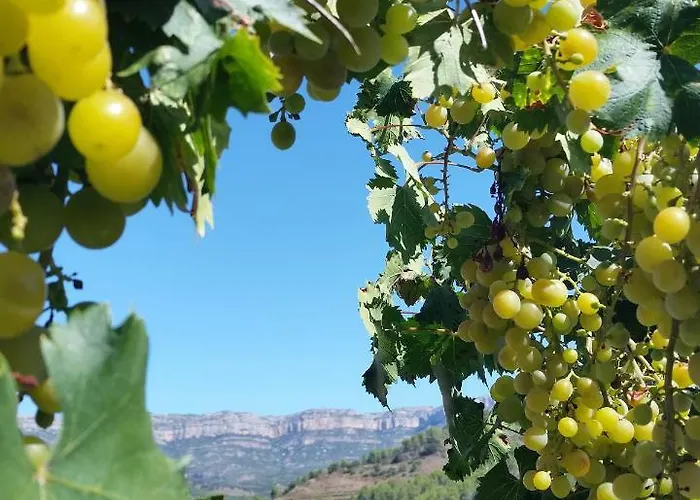 Cal Viola Apartament Torroja
